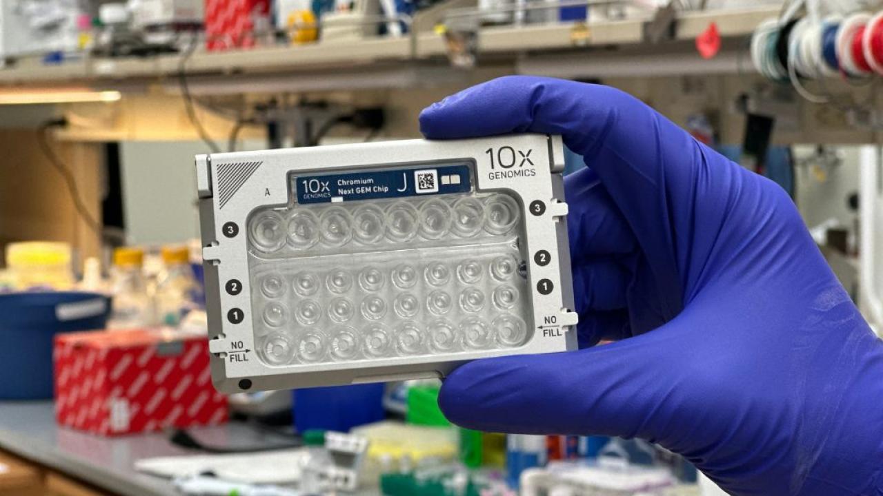 A rectangular chip is held up by a hand wearing blue lab gloves.