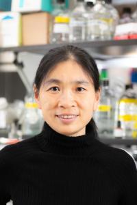 Xiao Xu, PhD Profile Headshot