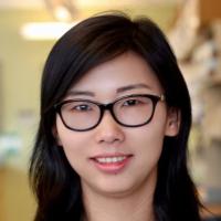 Jing Fu, PhD Profile Headshot