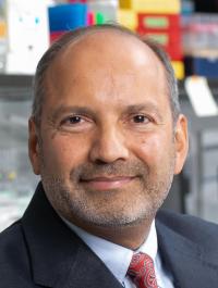 Alex J. Rai, PhD Profile Headshot