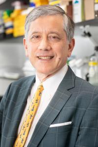 Timothy Cragin Wang, MD Profile Headshot