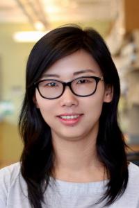 Jing Fu, PhD Profile Headshot