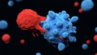 3d render of a T-cell attacking a cancer cell