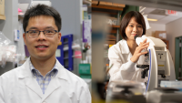 Combined images of Xuebing Wu on the left and Christine Chio on the right