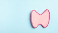 An illustration of the thyroid gland.