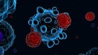 Image of CART cell