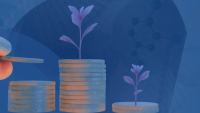 A graphic showcasing coins being put in piles and small plants growing on top of the pile of coins.