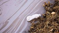 A plastic water bottle lying on a river bank