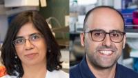 Swarnali Acharyya, PhD (left) and Tal Danino, PhD (right)