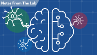 Notes from the lab graphic showing a brain with neurons branching out
