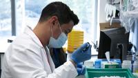 Researcher working at the lab bench