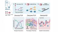 New Research Reveals How T Cells Evolve in Graft-Versus-Host Disease (Figure credit: Azizi and Reshef labs)
