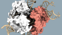 3D molecular structure system