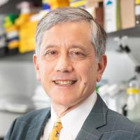 Timothy C Wang, MD Profile Headshot