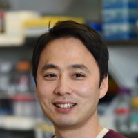Hee Won Yang, PhD Profile Headshot