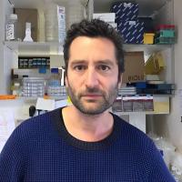 Raphael Ceccaldi, PhD