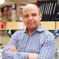 Daniel Durocher, PhD