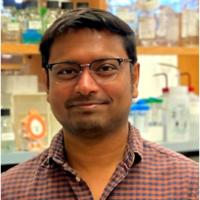 Rahul Bhowmick, Ph.D.