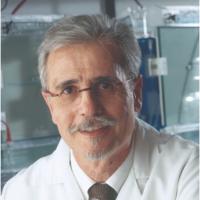 Yves Pommier, PhD